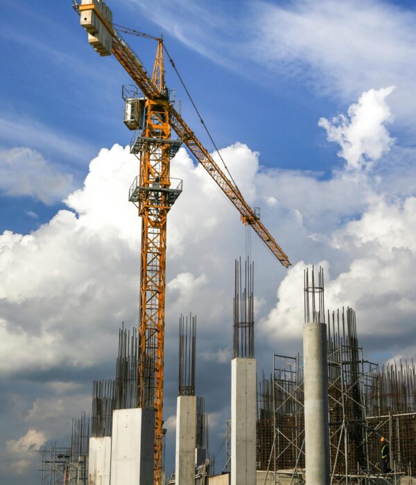 pexels-quang-nguyen-vinh-222549-12740147 pexels-quang-nguyen-vinh-222549-12740147